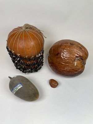 quelques noix posées sur une table blanche