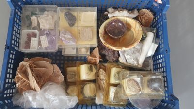 un panier bleu rempli de différents types d'aliments