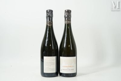 deux bouteilles de vin posées l'une à côté de l'autre sur une surface blanche