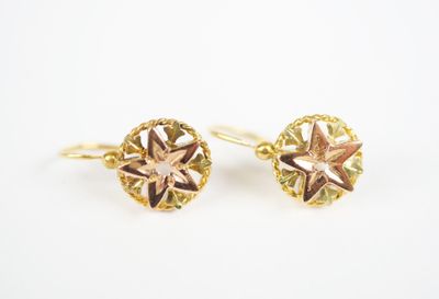 a pair of gold earrings with a star design
