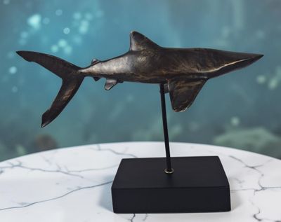 un gros plan sur une statue de requin posée sur une table