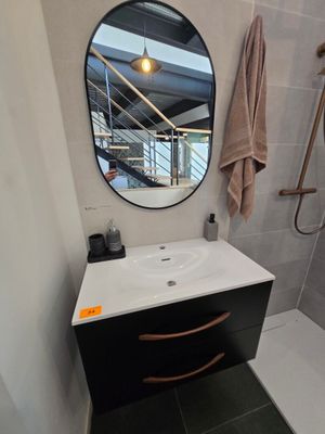une salle de bains équipée d'un lavabo, d'une douche et d'un miroir