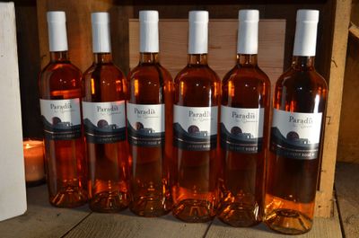 Le Petit Rosé (9°) Vin de France, Domaine Paradis 2022, douz…