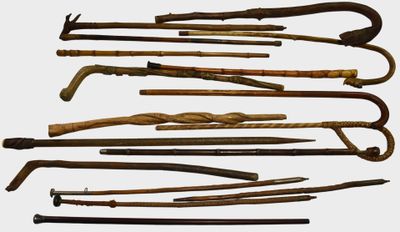 many different types of canes that are on display