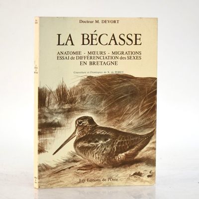 couverture du livre « La Bécasse », un antomème – Meules – Migrations en Bretagne
