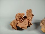 two pieces of chocolate sitting on a plate next to a muffin