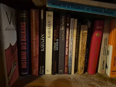 many books that are on a shelf in the room