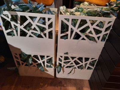 deux caisses blanches contenant des feuilles vertes et des oranges