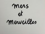 Photo 1/1 du lot