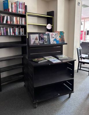 une pièce dans laquelle se trouvent une bibliothèque et une chaise