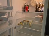 a refrigerator that has a lot of bottles in it