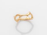 l'image d'une bague en or ornée de diamants