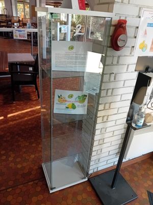 a glass display case in the middle of a room