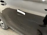 a black cat that is sitting on the door of a car