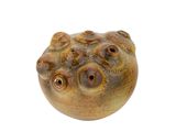 a brown vase with holes in it on a white surface