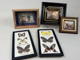 trois photos encadrées de papillons et une photo d'une femme