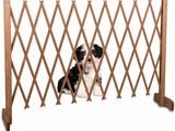 une photo d'un chien assis derrière un portillon en bois