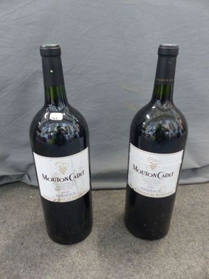 deux bouteilles de vin posées l'une à côté de l'autre sur une table