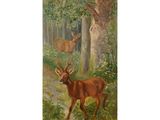 a painting of two deer in a forest with trees and bushes