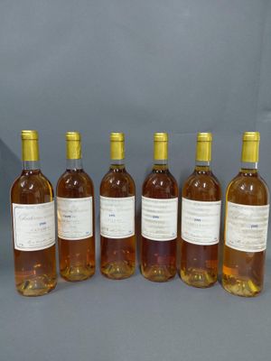 six bouteilles de vin sont alignées sur une surface grise