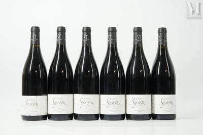 six bouteilles de vin sont alignées sur une surface blanche