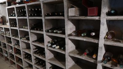 many bottles of wine on the shelves in the room