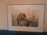a picture of a pheasant and a pheasant in the picture
