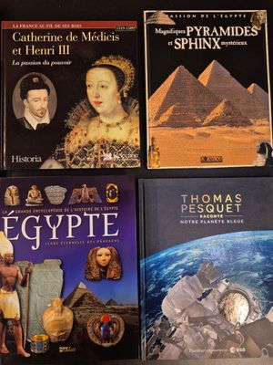 plusieurs livres posés sur une table, avec une image de pyramide en arrière-plan