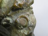a close up of a statue of a bird on a rock