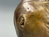 une statue en bronze représentant la tête d'un homme posée sur une table
