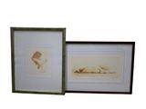two framed pictures of a cat laying on the ground next to each other