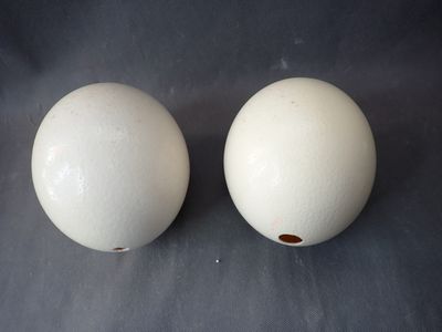 deux œufs blancs posés l'un à côté de l'autre sur une table