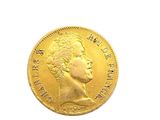 an image of a close up of a gold coin on a white background