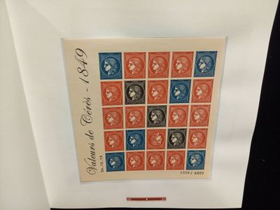 l'image d'une photo représentant un chat sur une feuille de papier