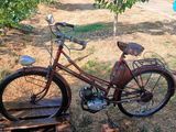 un vélo posé dans l'herbe près d'un arbre