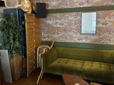 un canapé vert dans un salon, avec un chat sur le mur