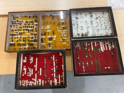 three boxes with different types of insects in them sitting on a table