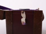 a llama that is sitting in a purple suitcase