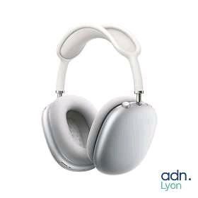 AirPods Max argent - APPLE - GR/C SM - Pochette de transport…