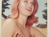 a picture of a woman with red hair in a field