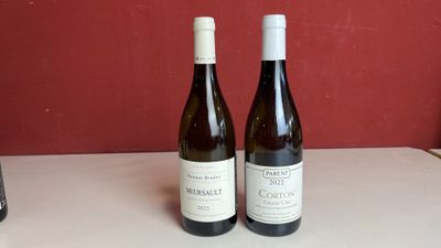 deux bouteilles de vin posées sur une table l'une à côté de l'autre