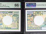 Trois types de monnaies différents sont exposés dans une vitrine
