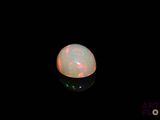 an oplite in the dark with a black background