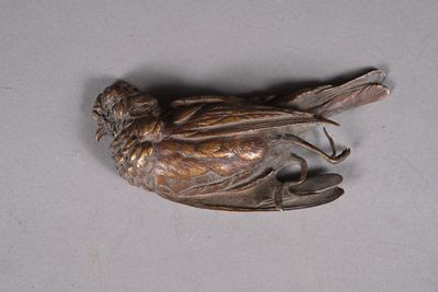 a bird that is sitting on top of a piece of metal