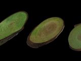 four slices of green onion on a black background