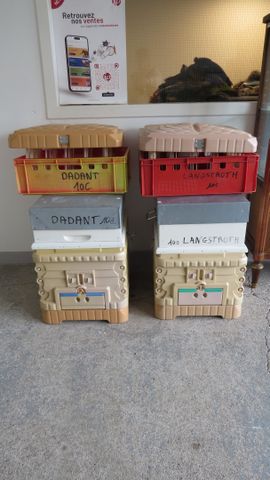 Deux ruches complète avec hausse 