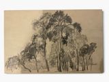 drawing of a group of trees in a field with a sky in the background