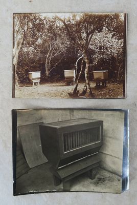 deux vieilles photos d'un banc et d'un banc dans un parc