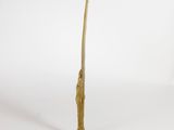 an image of a wooden stick with a long handle on a white background
