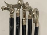 five different types of walking canes in a holder